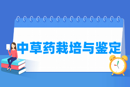中草药栽培与鉴定专业怎么样_主要学什么_就业前景好吗