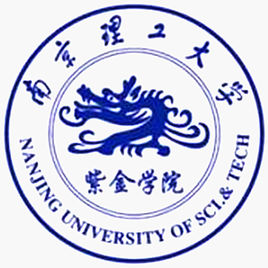 2024南京理工大学紫金学院艺术类录取分数线