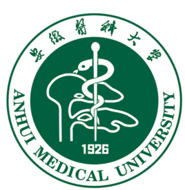 2025安徽医科大学录取规则及投档比例