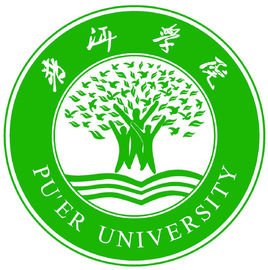 2024普洱学院艺术类录取分数线（含2022-2023历年）