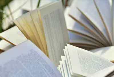 2024上海对外经贸大学在江苏各专业录取分数线及对应位次 最低571分