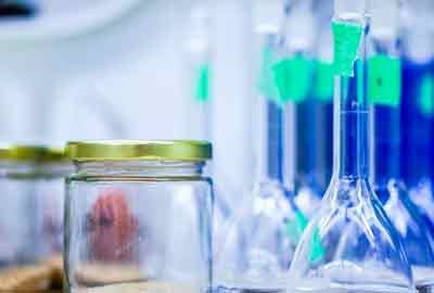 江苏师范大学科文学院2024在河南录取分数线是多少 最低397分/最高482分