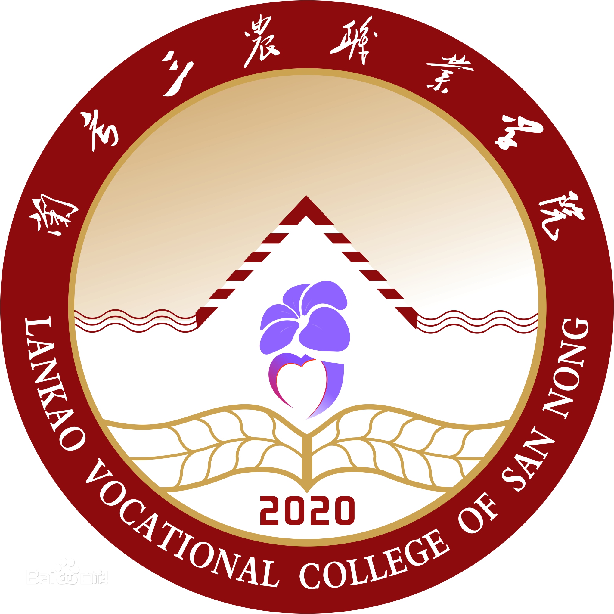 2024兰考三农职业学院艺术类录取分数线（含2023年）
