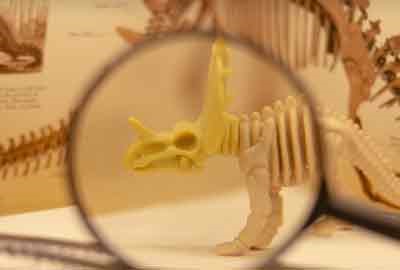 荆州理工职业学院2024在青海录取分数线是多少 最低248分/最高324分