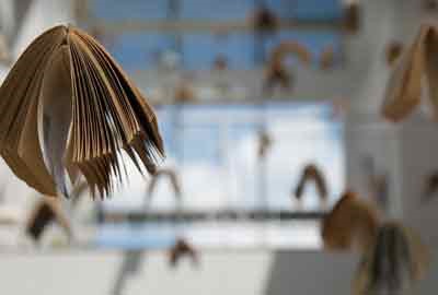 2024西南林业大学在江苏各专业录取分数线及对应位次 最低519分