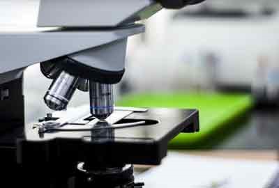 2024东北电力大学在浙江各专业录取分数线及对应位次 最低538分