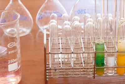 武汉生物工程学院2024在山东录取分数线是多少 最低382分/最高496分