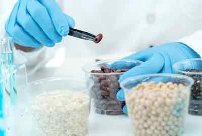 青岛大学2024年山东省综合评价招生简章