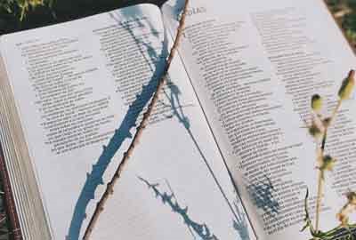 2025湘南学院在山东各专业录取分数线及对应位次 最低475分