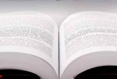 2025长春信息技术职业学院在山东各专业录取分数线及对应位次 最低165分