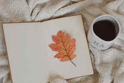 2025济南护理职业学院在山东各专业录取分数线及对应位次 最低358分