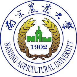 2025南京农业大学艺术类录取分数线（含2024年）