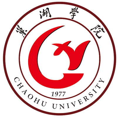 2025巢湖学院艺术类录取分数线(含2023-2024历年)