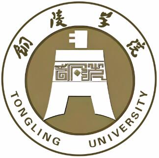 2025铜陵学院艺术类录取分数线(含2023-2024历年)