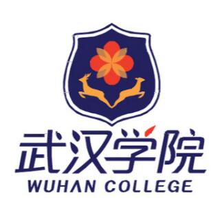 2025武汉学院艺术类录取分数线(含2023-2024历年)